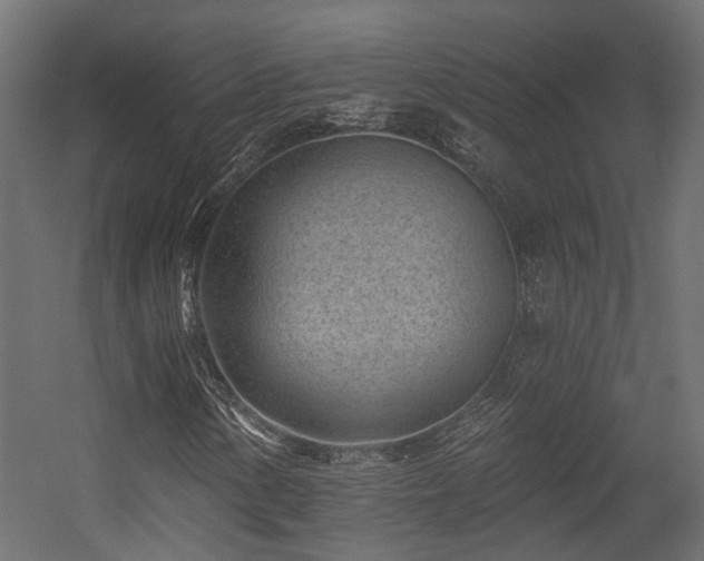 X0000054381154200507291110