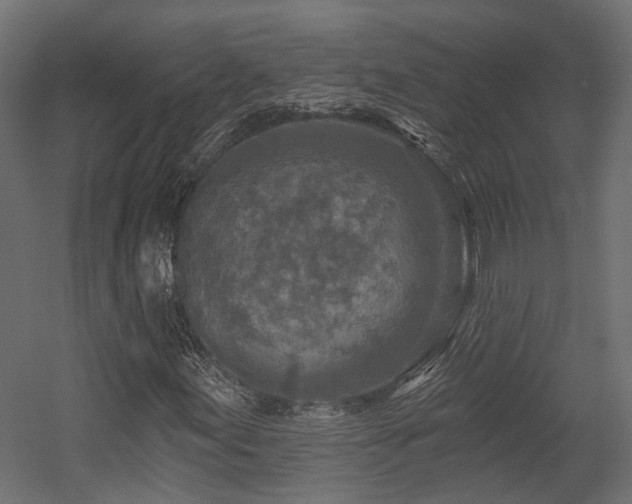 X0000054381155200507291110