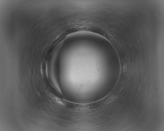 X0000054381156200507291110