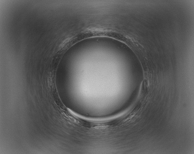 X0000054381157200507291110