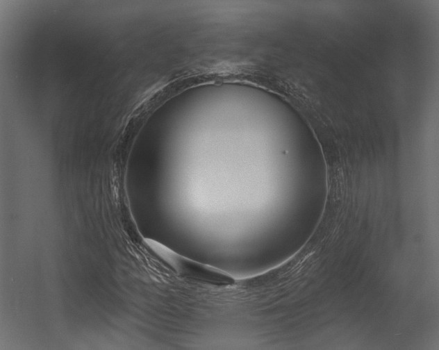 X0000054381158200507291110