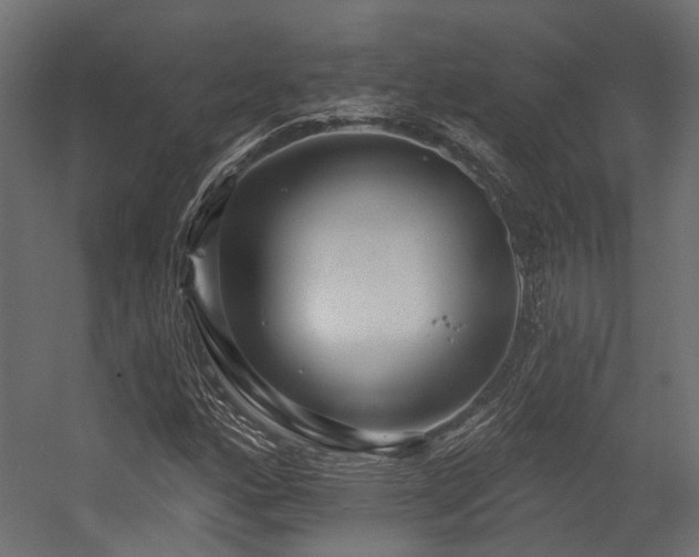 X0000054381160200507291110