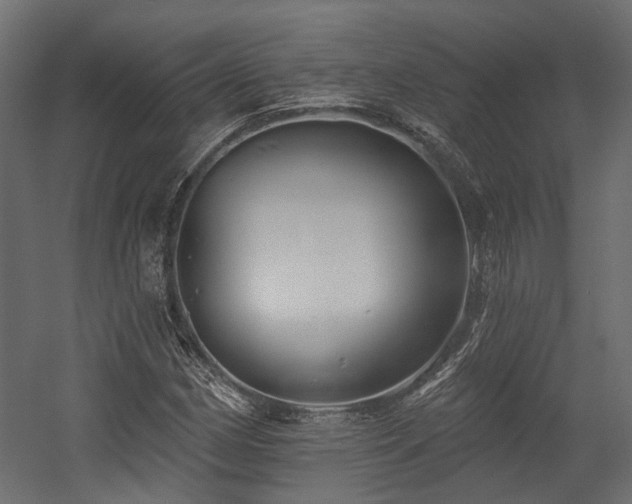 X0000054381162200507291110