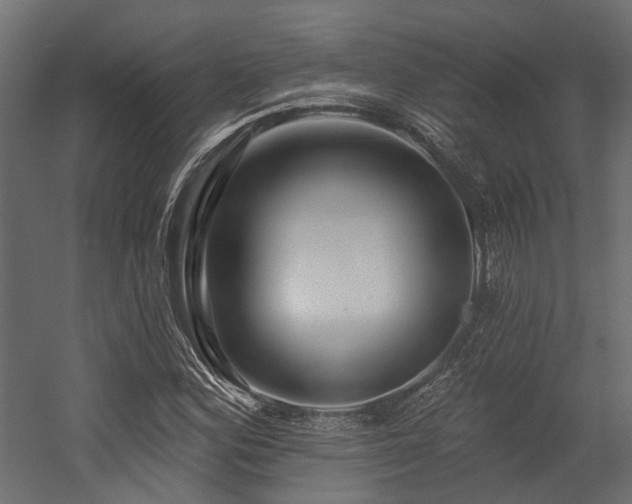 X0000054381164200507291110