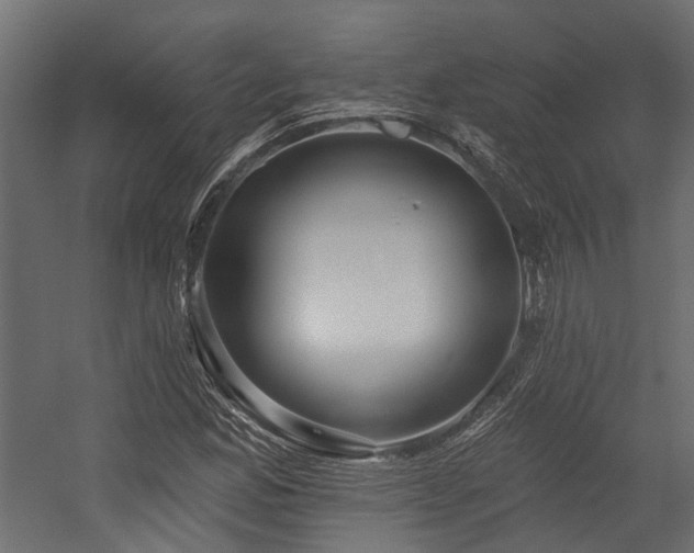 X0000054381165200507291110