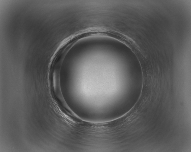 X0000054381168200507291110