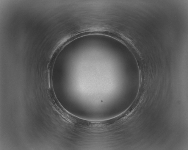 X0000054381171200507291109