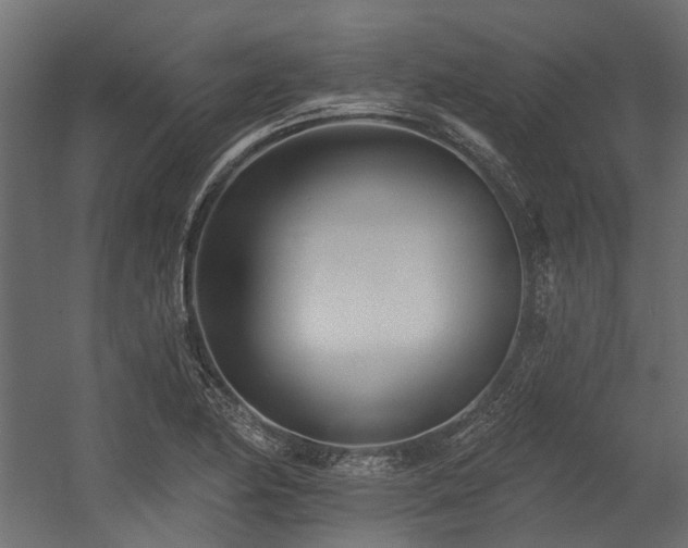X0000054381174200507291109