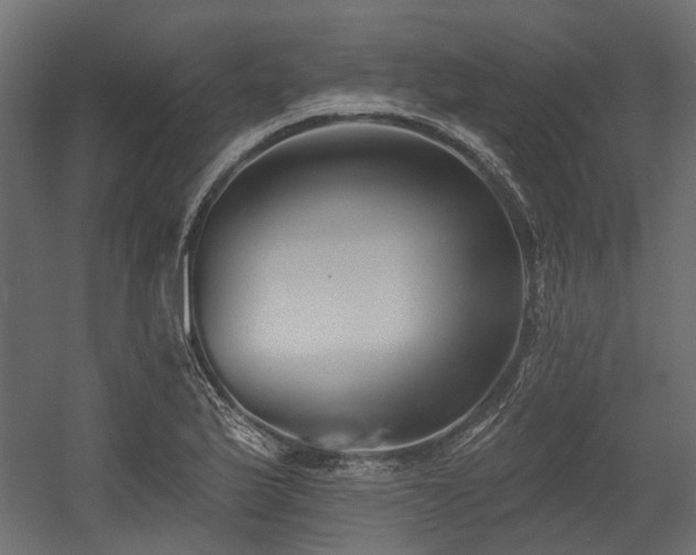 X0000054381175200507291109
