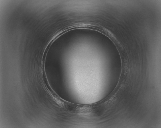 X0000054381178200507291109