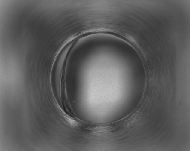 X0000054381181200507291109