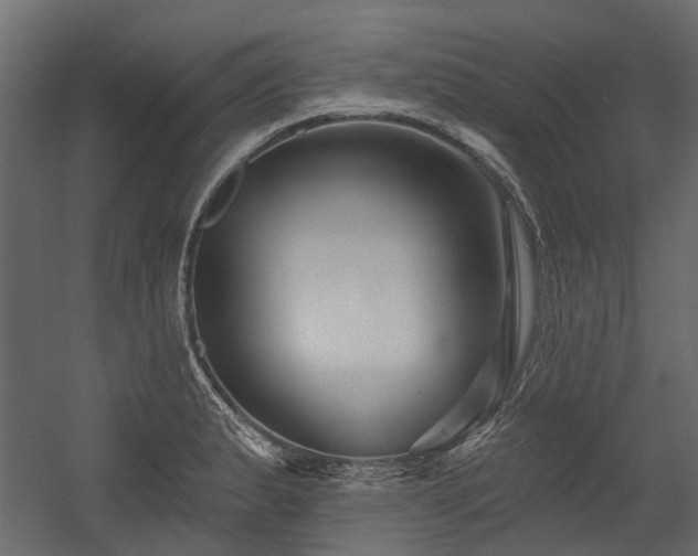 X0000054381183200507291109