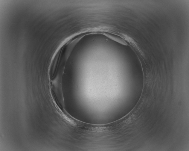 X0000054381184200507291109