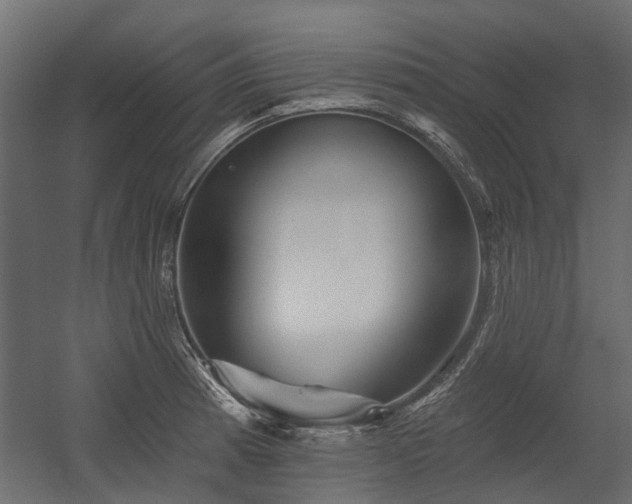 X0000054381185200507291109