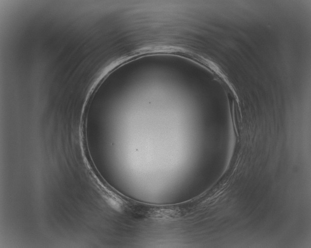 X0000054381187200507291109