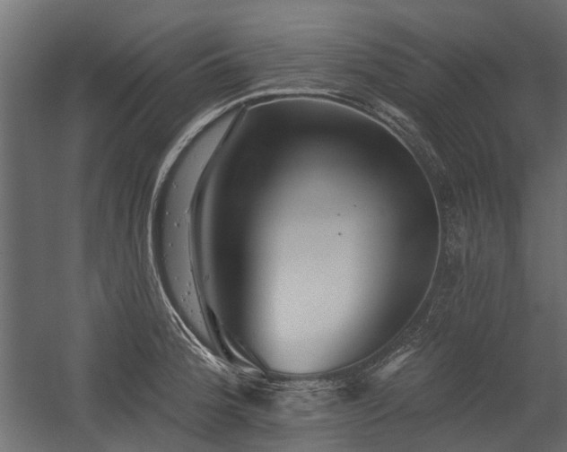 X0000054381188200507291109