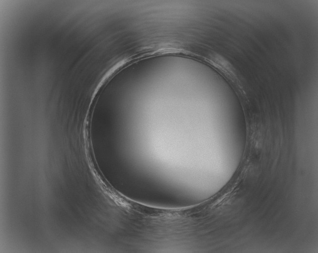 X0000054381190200507291109