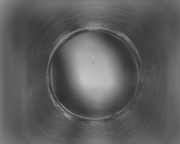 X0000054381191200507291109