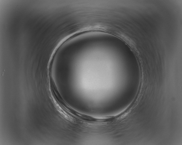 X0000054381200200507291109