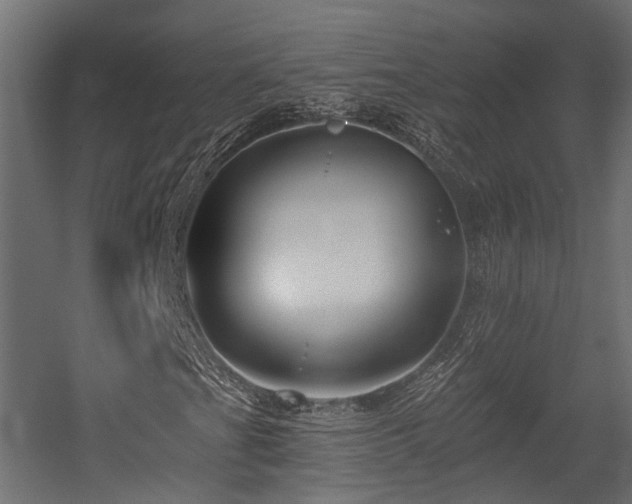 X0000054381201200507291108