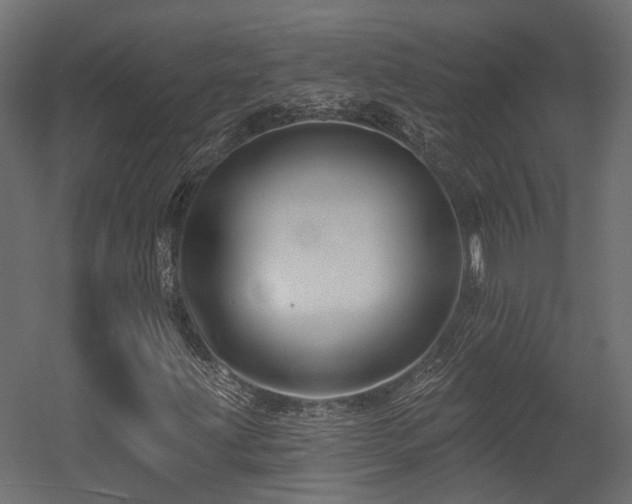 X0000054381203200507291108