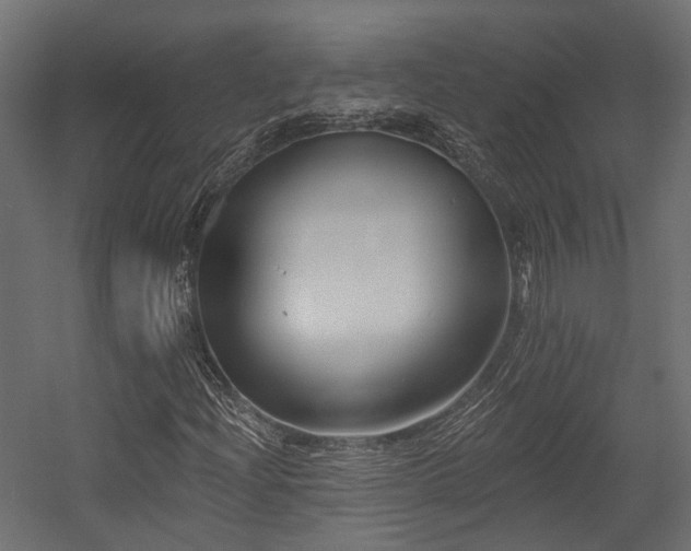 X0000054381204200507291108