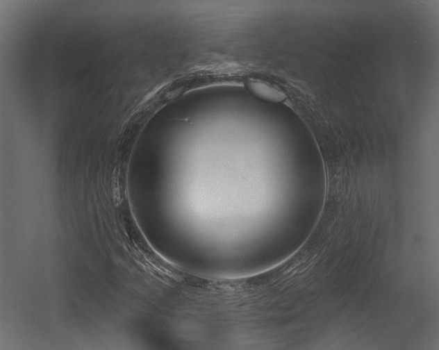 X0000054381205200507291108