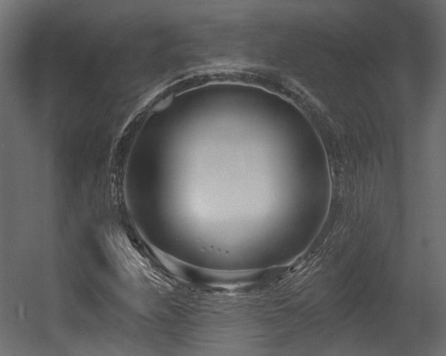 X0000054381208200507291108