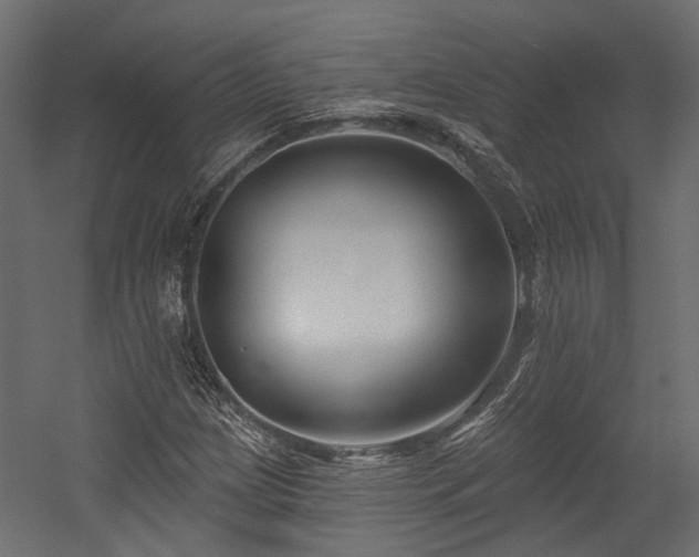 X0000054381209200507291108