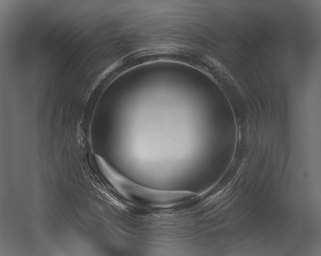 X0000054381210200507291108