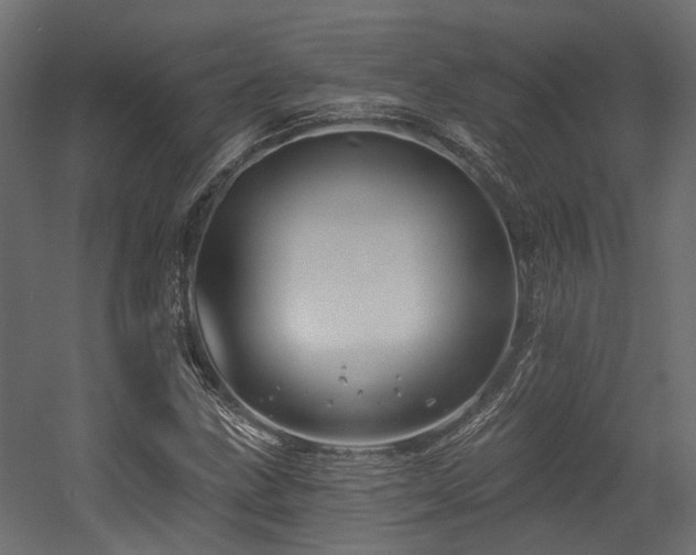 X0000054381211200507291108
