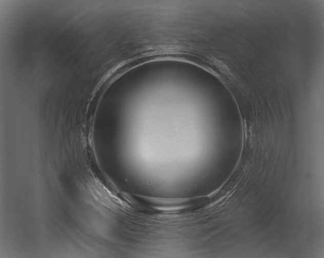X0000054381212200507291108