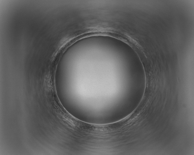 X0000054381215200507291108