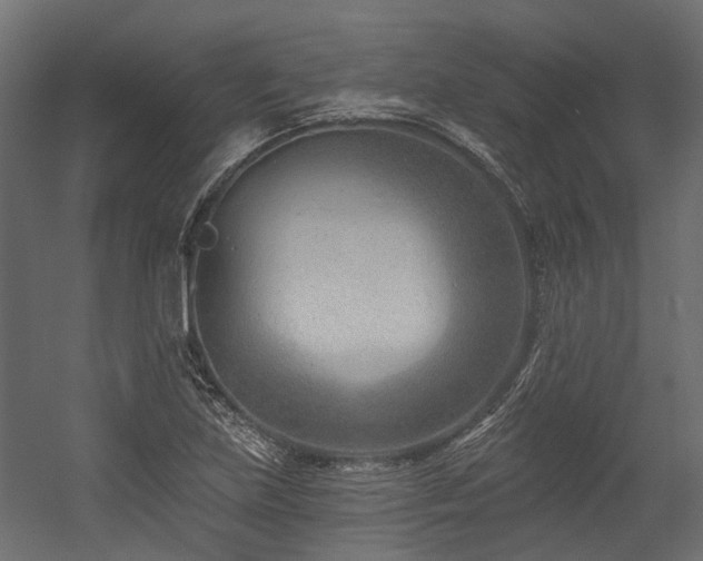 X0000054381219200507291108