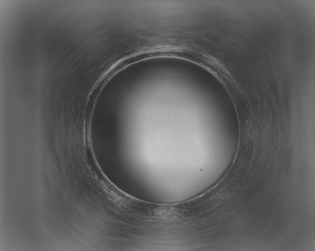 X0000054381220200507291108