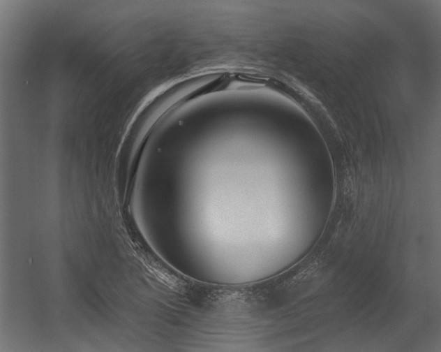 X0000054381222200507291109