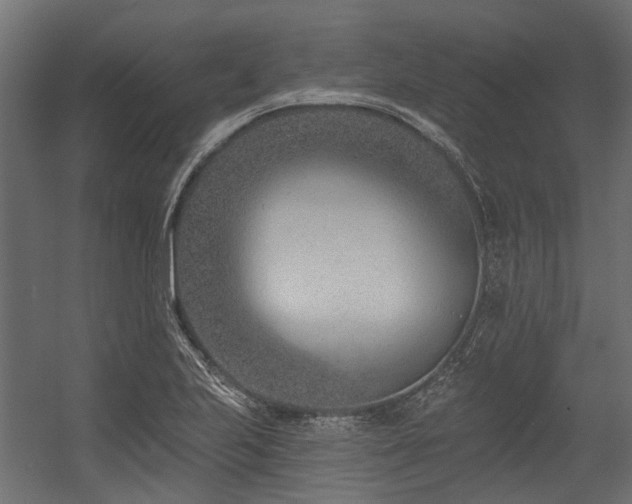 X0000054381223200507291109