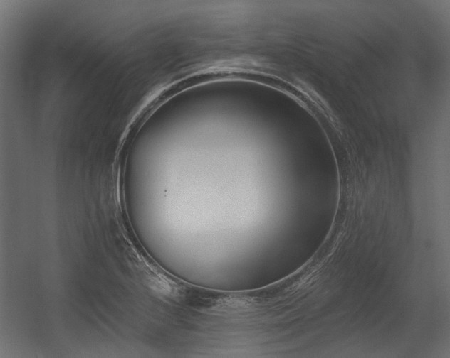 X0000054381224200507291109