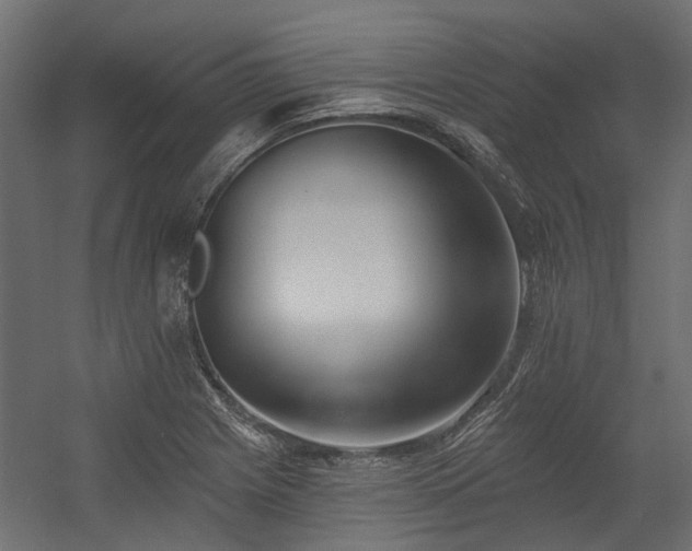 X0000054381225200507291109