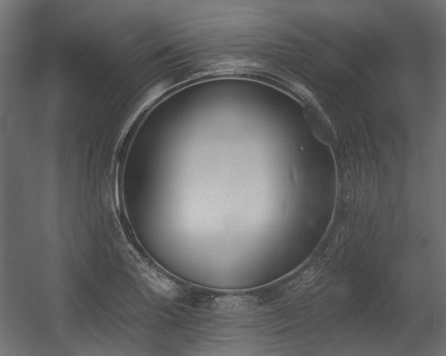 X0000054381227200507291109