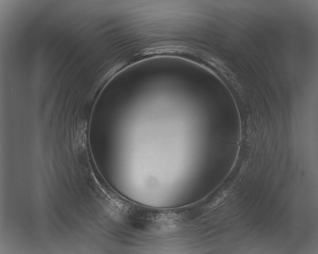 X0000054381233200507291109
