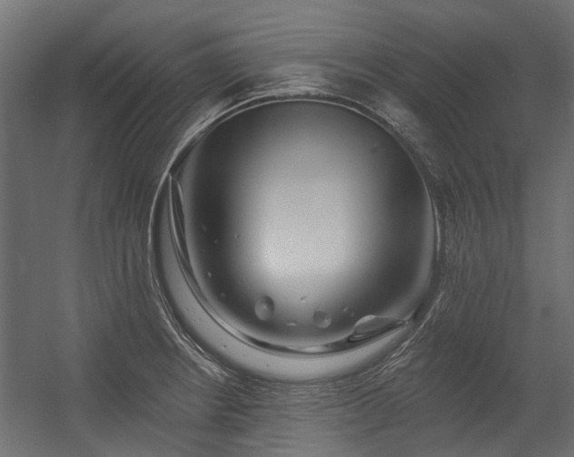 X0000054381234200507291109