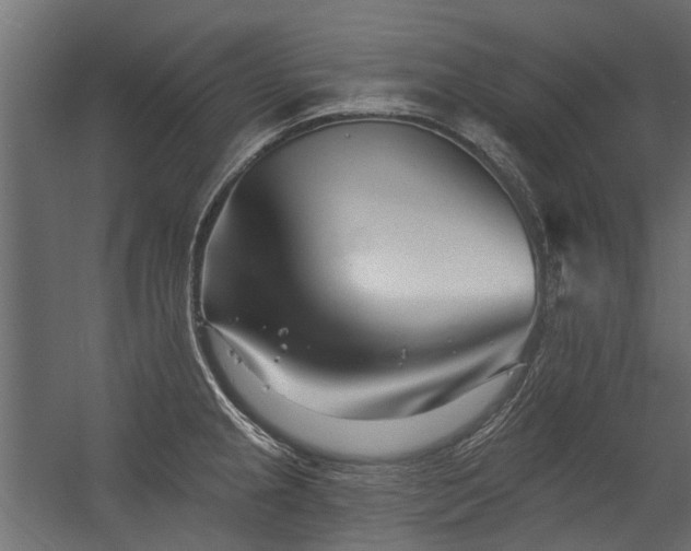 X0000054381237200507291109