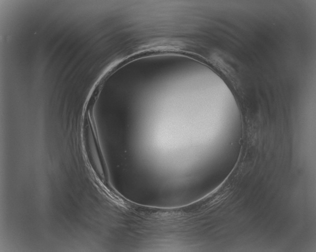 X0000054381240200507291109
