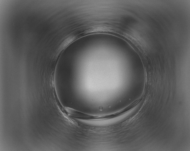 X0000054381241200507291109