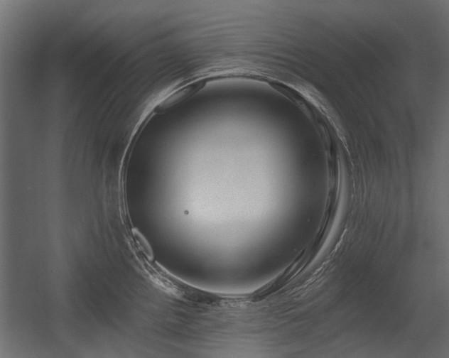 X0000054381242200507291109