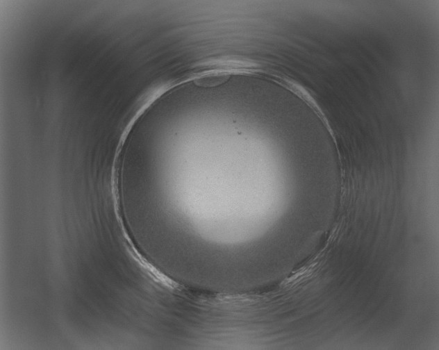 X0000054381243200507291109