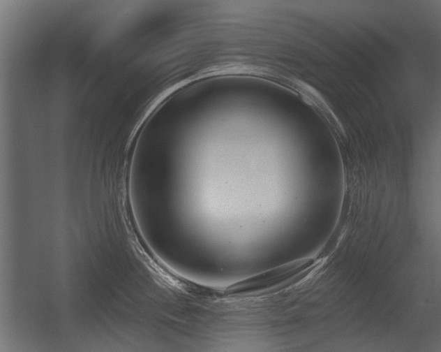 X0000054381244200507291109