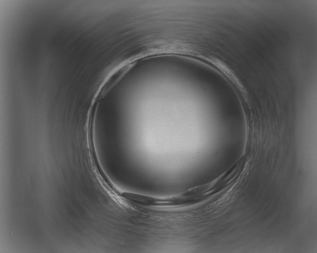 X0000054381246200507291109