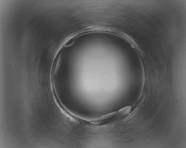 X0000054381247200507291109